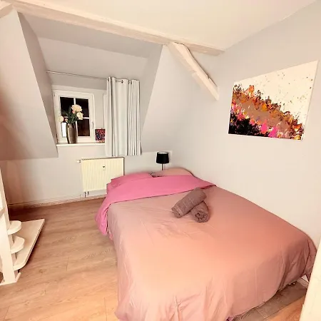 Lägenhet Chic&cosy - Vue Exceptionnelle - Centre Haguenau