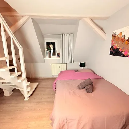 Chic&cosy - Vue Exceptionnelle - Centre Haguenau