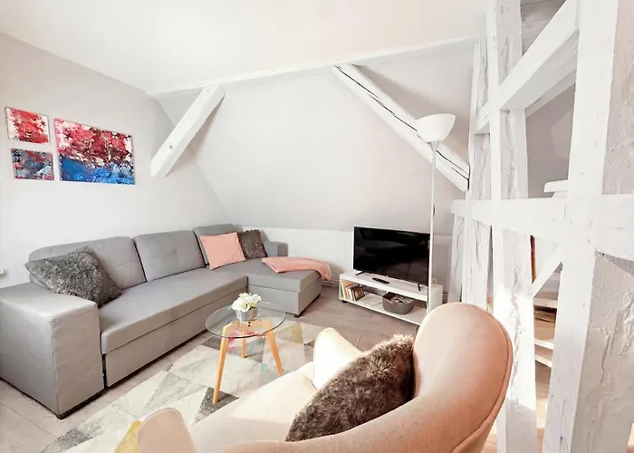 Appartement Chic&cosy - Vue Exceptionnelle - Centre Haguenau