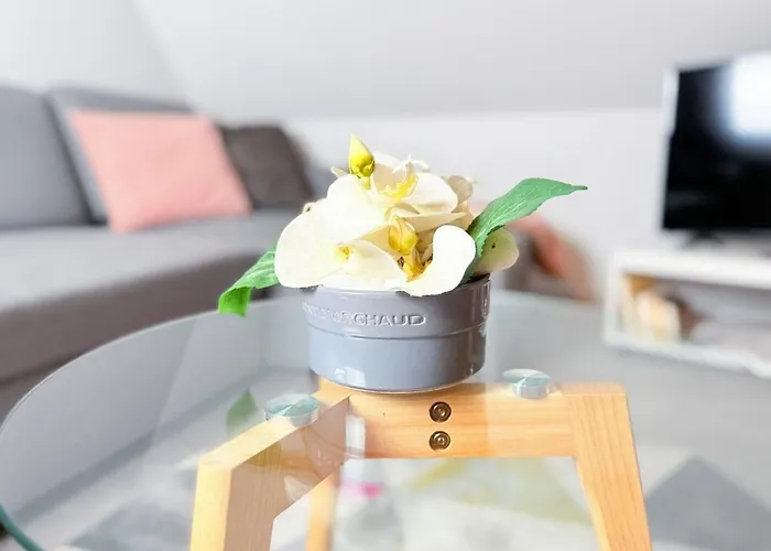 Appartement Chic&cosy - Vue Exceptionnelle - Centre Haguenau