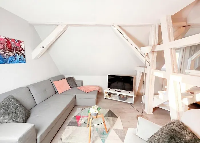 Appartement Chic&cosy - Vue Exceptionnelle - Centre Haguenau