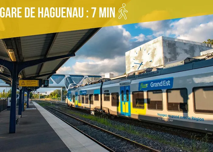 Chic&cosy - Vue Exceptionnelle - Centre Haguenau